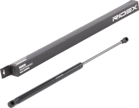 RIDEX 219G0731 Baklukedemper