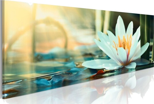 Bilde The Lake Of Lotus 135x45 Artgeist sp. z o. o.