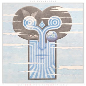 The Chameleons What Does Anything Mean? Basically LP/Vinyl The Chameleons What Does Anything Mean? Basically LP/Vinyl
