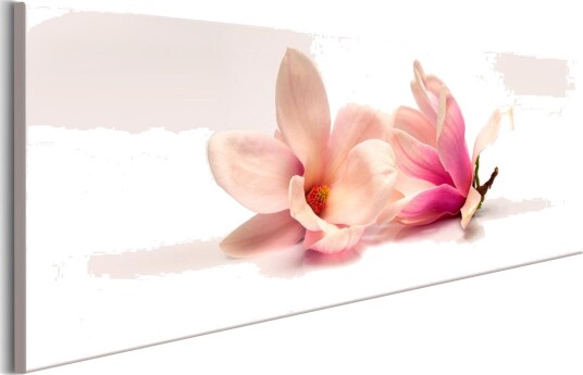 Bilde Beautiful Magnolias 120x40 Artgeist sp. z o. o.