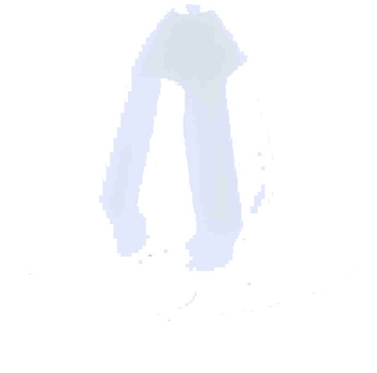 Clip VAICO V30-1421