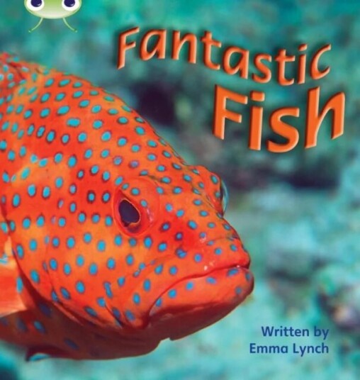 Bug Club Phonics Non Fiction Year 1 Phase 4 Set 12 Fantastic Fish Av Emma Lynch