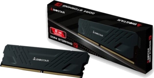Biostar Storming V DDR4 8GB 3200MHz DX32NU4H08