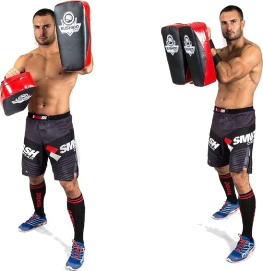 Thai mitts TPAO   muay thai kickboxing Bushido