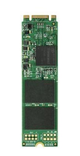 Transcend MTS800 - SSD - 64 GB - SATA 6Gb/s
