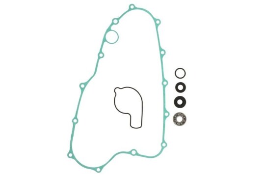 WINDEROSA 821278 Pakning vannpumpe