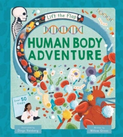 Human Body Adventure Human Body Adventure