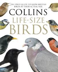 Collins Life-Size Birds Av Paul Sterry, Rob Read