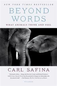 Safina Carl Beyond Words: What Animals Think and Feel
