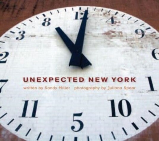 Unexpected New York Av Sandy Miller