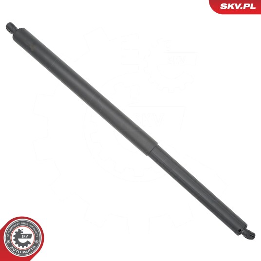 ESEN SKV 52SKV848 Baklukedemper