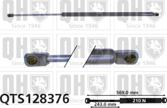 QUINTON HAZELL QTS128376 Baklukedemper