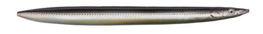Savage Gear Line Thru Sandeel 125mm 19g 04-Black Ghost Savage Gear Line Thru Sandeel 125mm 19g 04-Black Ghost
