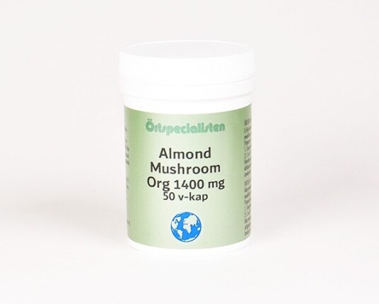 ALMOND MUSH