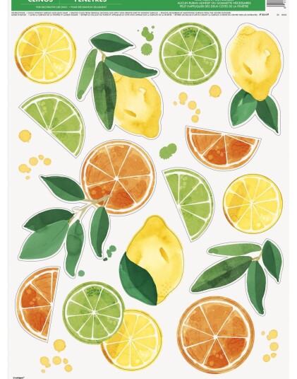 14 Vindusklistremerker Sitrus Frukter Summer Fruits