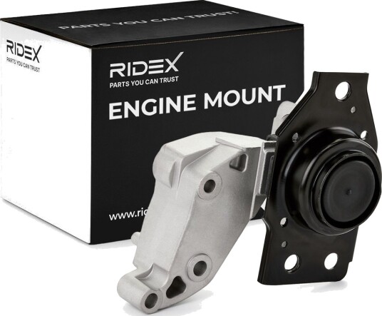 RIDEX 247E0698 Motorfeste