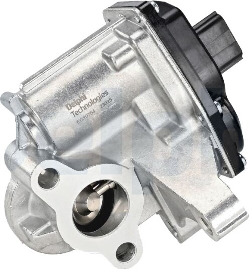 DELPHI EG10754-12B1 EGR-ventil DELPHI EG10754-12B1 EGR-ventil