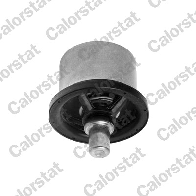 Termostat CALORSTAT by Vernet THS16957.82