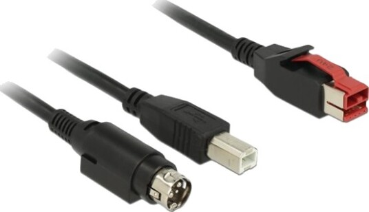 Delock Strømforsynt Usb Kabel Usb Pluspower 24 V Hann Til Usb Type B Power Mini Din Hann 24 V 3 M Svart