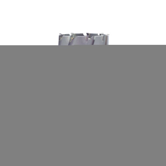 Rotabroach HM kjernebor 19 x 80mm Weldon-skaft 19mm / 3/4''