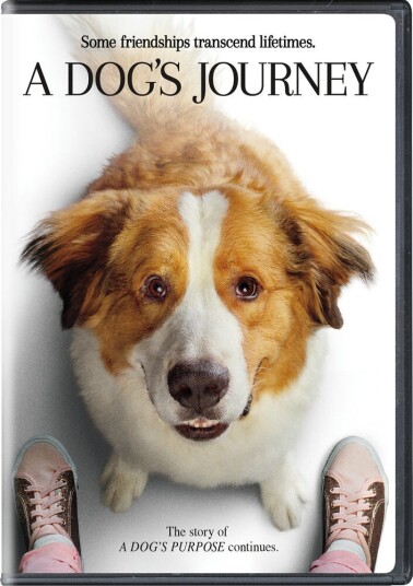 Dog's Journey DVD