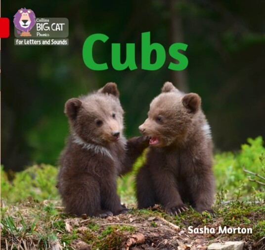 Cubs  Band 02a/Red a