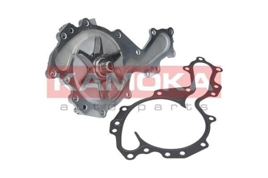 KAMOKA T0240 Vannpumpe