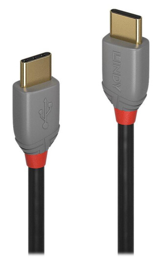 Lindy USB-C Kabel 2m 24-pin USB 2.0 Sort