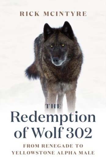 The Redemption Of Wolf 302 Av Rick Mcintyre