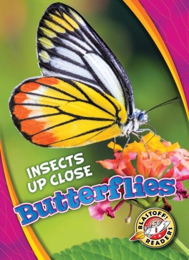 Butterflies Butterflies