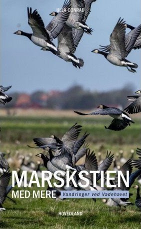 Markstien | Ulla Conrad | Språk: Dansk