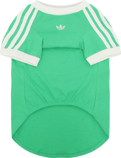 Adidas Originals Pet Cali Tee Adiky8730 Green M