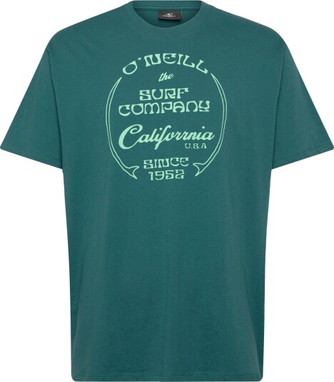 O"neill O"neill Beach Front Print T Shirt Green S