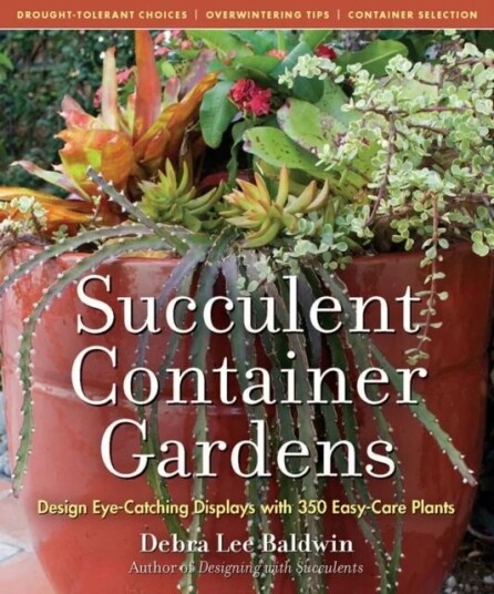 Succulent Container Gardens Av Debra Lee Baldwin