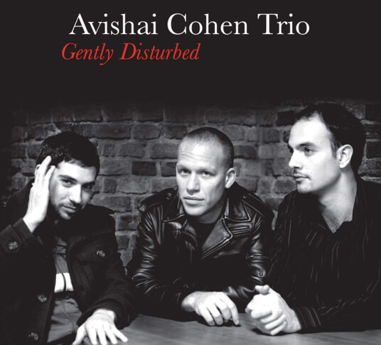Avishai Cohen Gently Disturbed CD