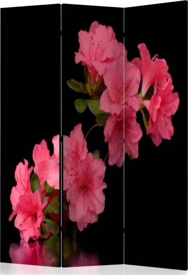 Kadira Rumsavdelare 135x172 cm VALUE_MISSING_1 -