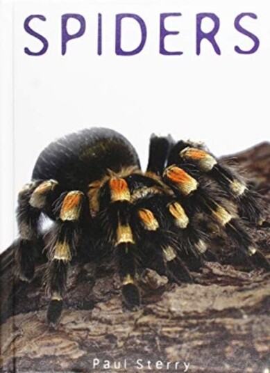 Spiders Av Paul Sterry