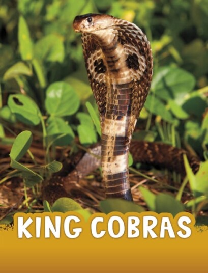 King Cobras Av Jaclyn Jaycox