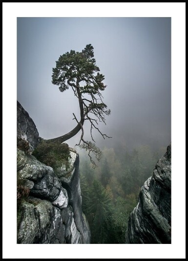 Against the Odds Plakat Plakat / 21x30cm Against the Odds Plakat Plakat / 21x30cm