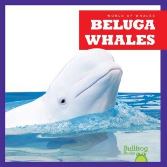 Beluga Whales Beluga Whales