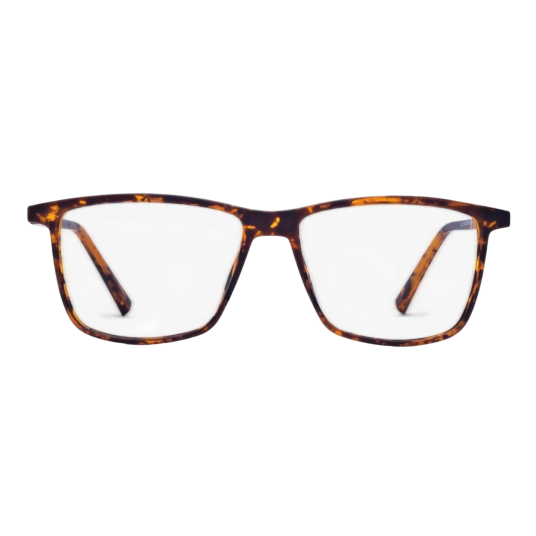 Luxreaders København Turtle Solbriller LUX006 +1 Unisex Acetate