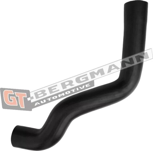 GT BERGMANN GT52 589 Ladeluftslange