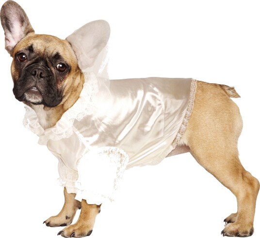 Espa Brud Kostyme for hund Medium P72423_M