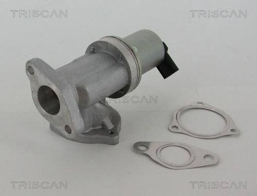 EGR ventil TRISCAN 8813 43002