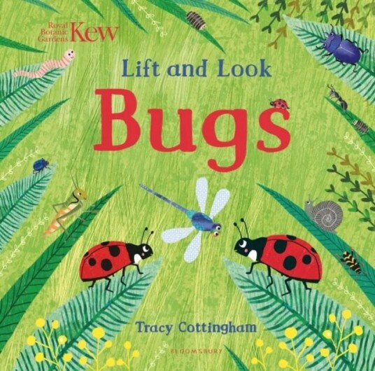 Kew: Lift and Look Bugs Kew: Lift and Look Bugs