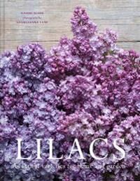 Lilacs Av Naomi Slade Lilacs Av Naomi Slade