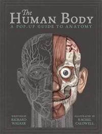 The Human Body Av Richard Walker The Human Body Av Richard Walker