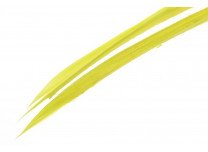 Wapsi Turkey Biots Green Drake