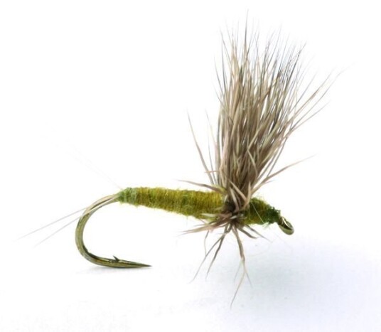 Umpqua Flies Comparadun Bwo