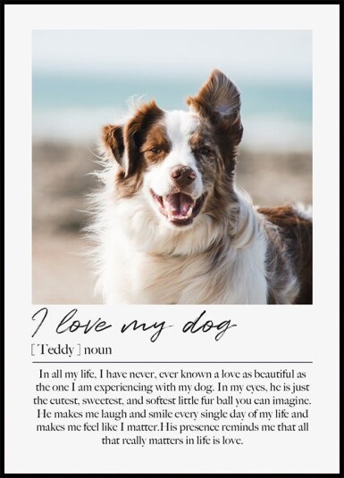 Custom Pet Portrait Plakat Plakat / 70x100cm Custom Pet Portrait Plakat Plakat / 70x100cm